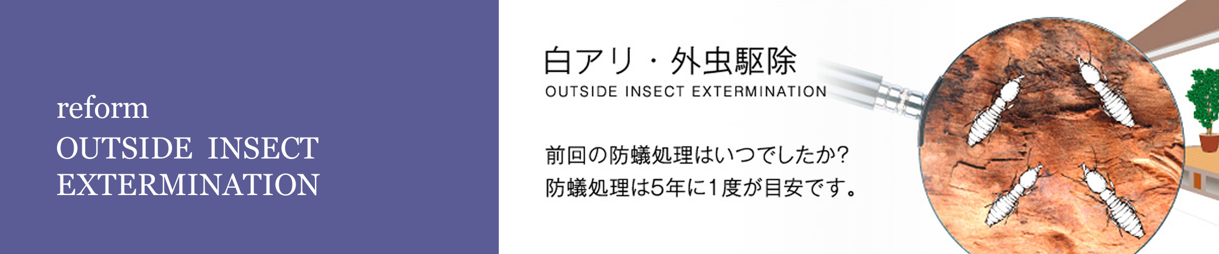 白アリ・外注駆除