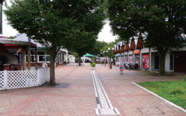 道の駅うつのみやろまんちっく村