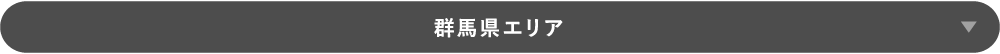 群馬県エリア