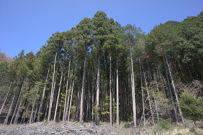 群馬県太田市飯塚町に20区画（第1期）先行分譲｜コンチネンタルホーム株式会社 - 住宅仕様：安心が長く続く、環境にやさしい家。