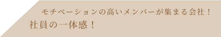 モチベーションの高いメンバーが集まる会社！社員の一体感！