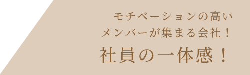 モチベーションの高いメンバーが集まる会社！社員の一体感！